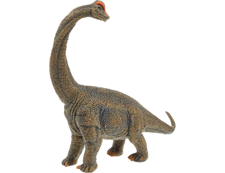 CollectA Prehistoric World Brachiosaurus Deluxe 1:40 | Dinosaurier